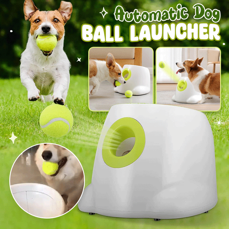 Automatic Dog Ball Thrower