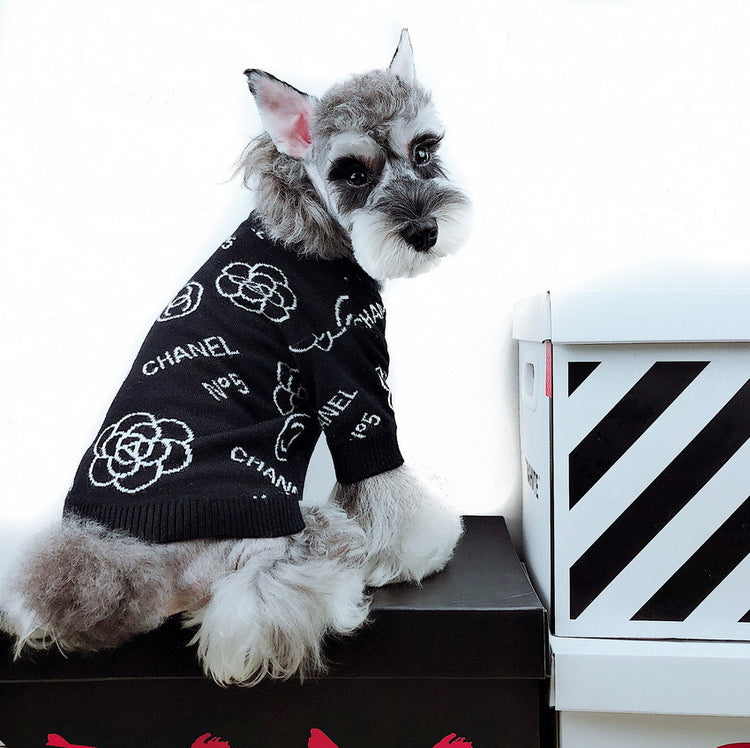 Pawel C Dog Sweater - Black