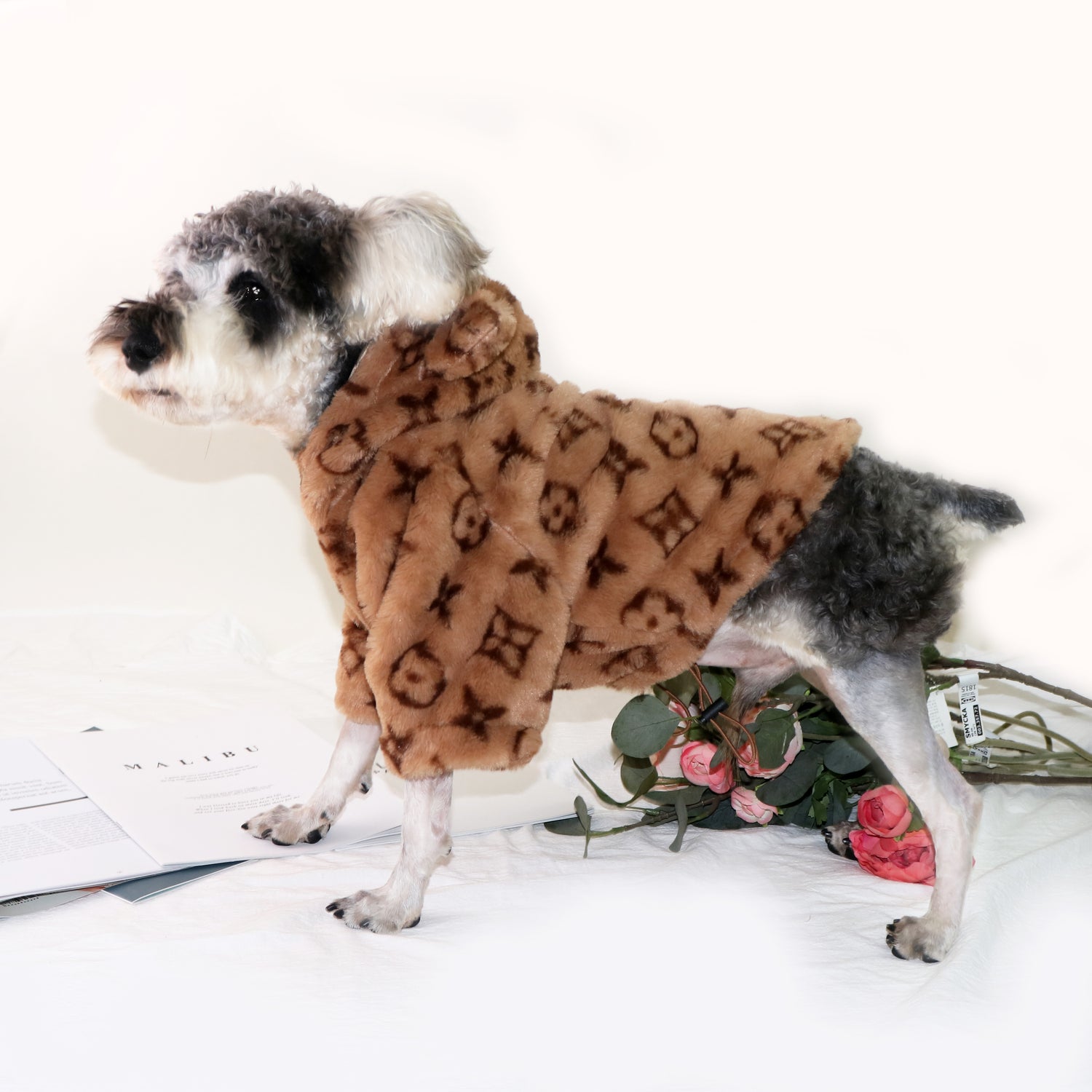 Chewy V Designer Dog Coat - Brown • Yorkies Gram