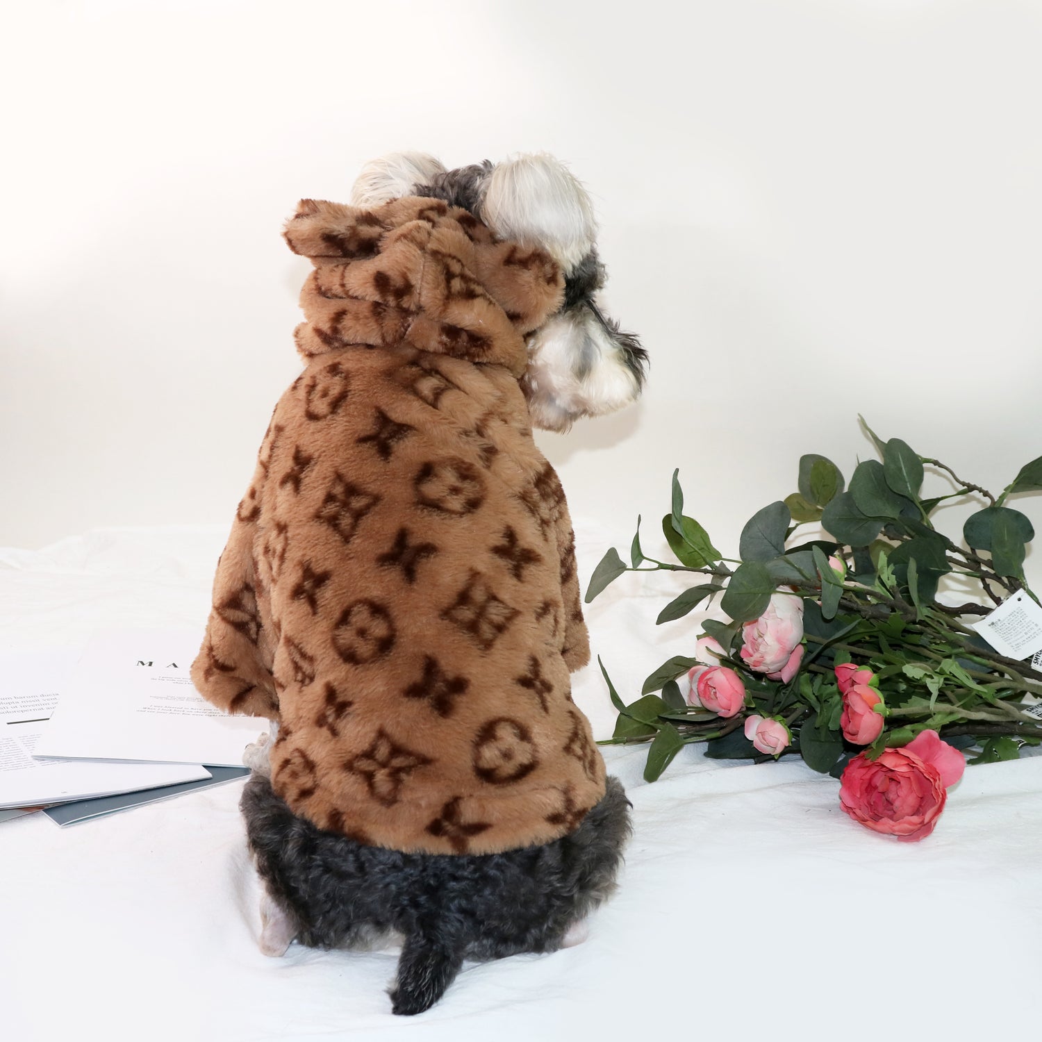 louis vuitton dog outfit