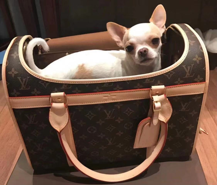 LV Luxury Dog Transporter