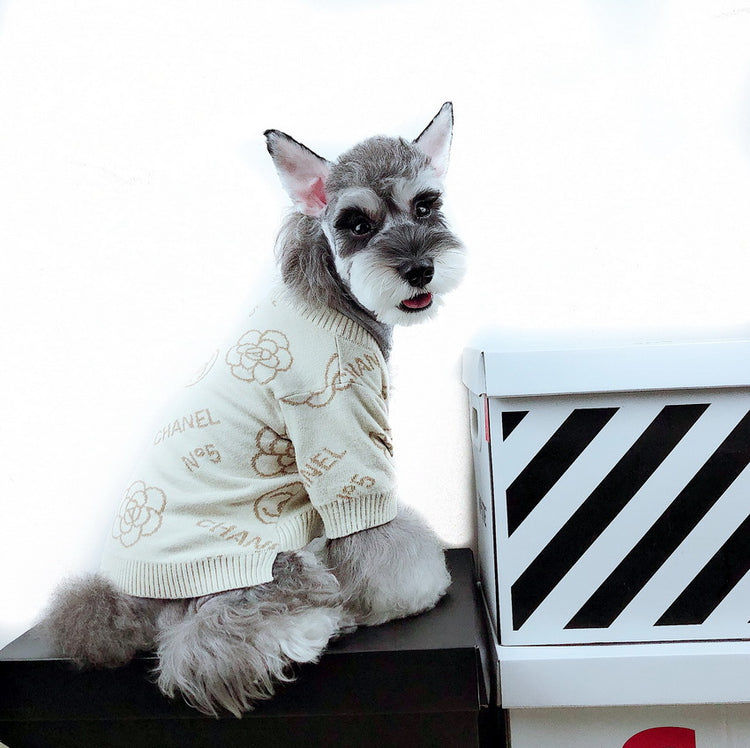 Pawel C Dog Sweater - Beige