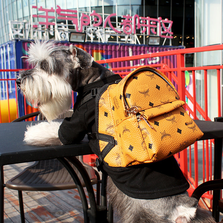 IC Designer Dog Backpack+Harness